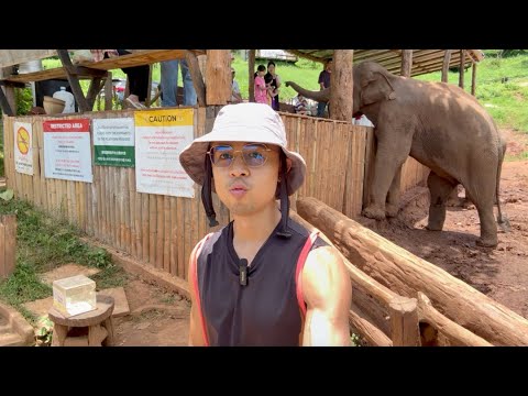 Why I walked away from my 850,000 Subscriber youtube channel